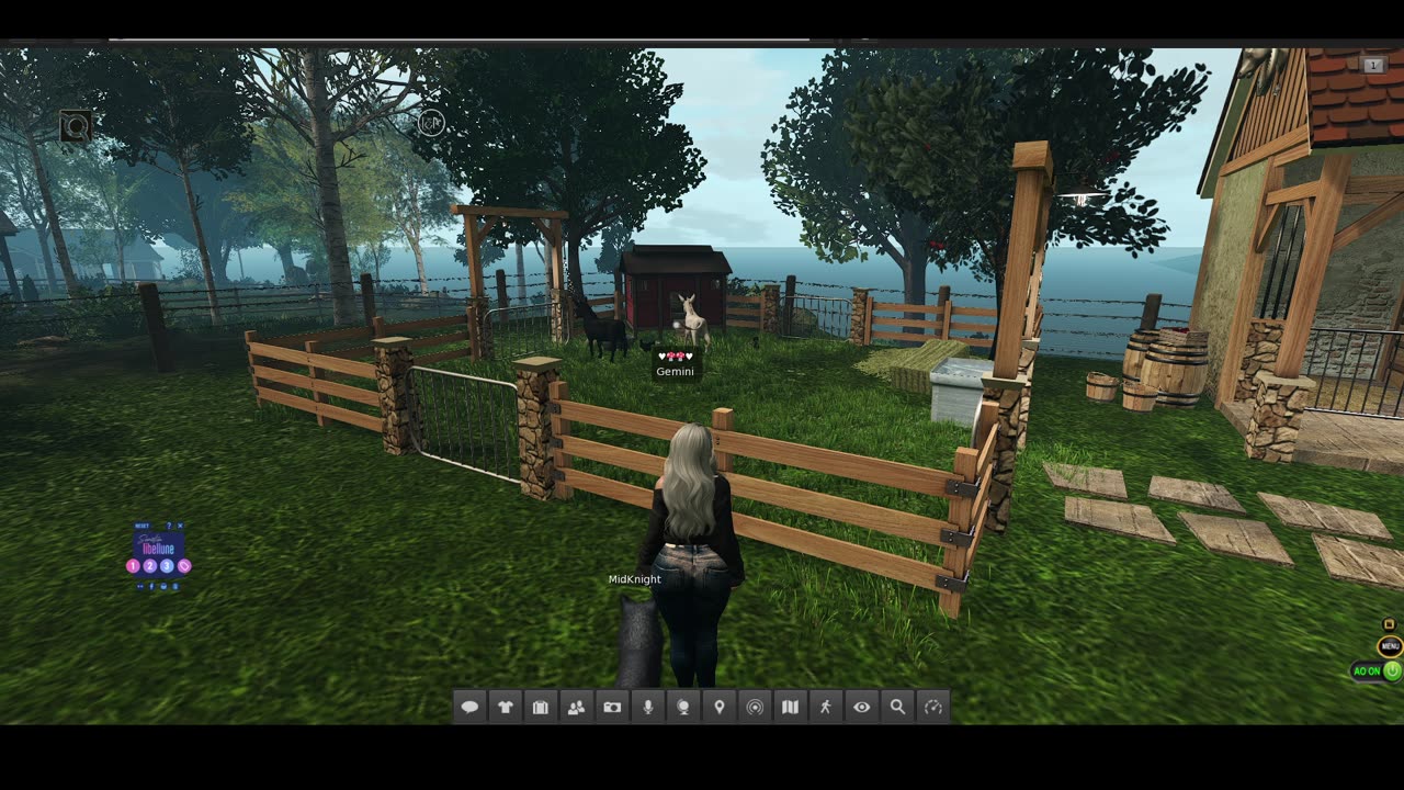 Gemini in Second Life