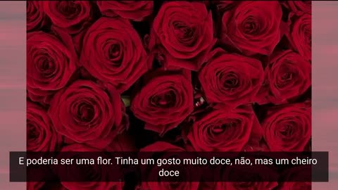 04.82.roses-perfume-or-another-thing