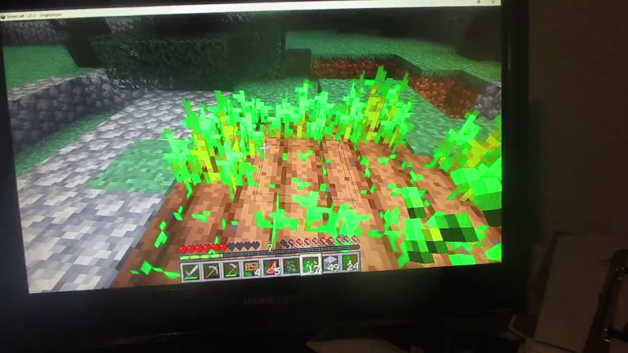 Minecraft. A Creeper almost killed me.