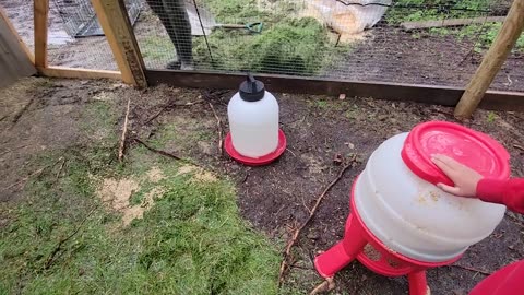 Trapping Inc Season 8 Episode 9 First new chicks on the ranch and then lynx and otter
