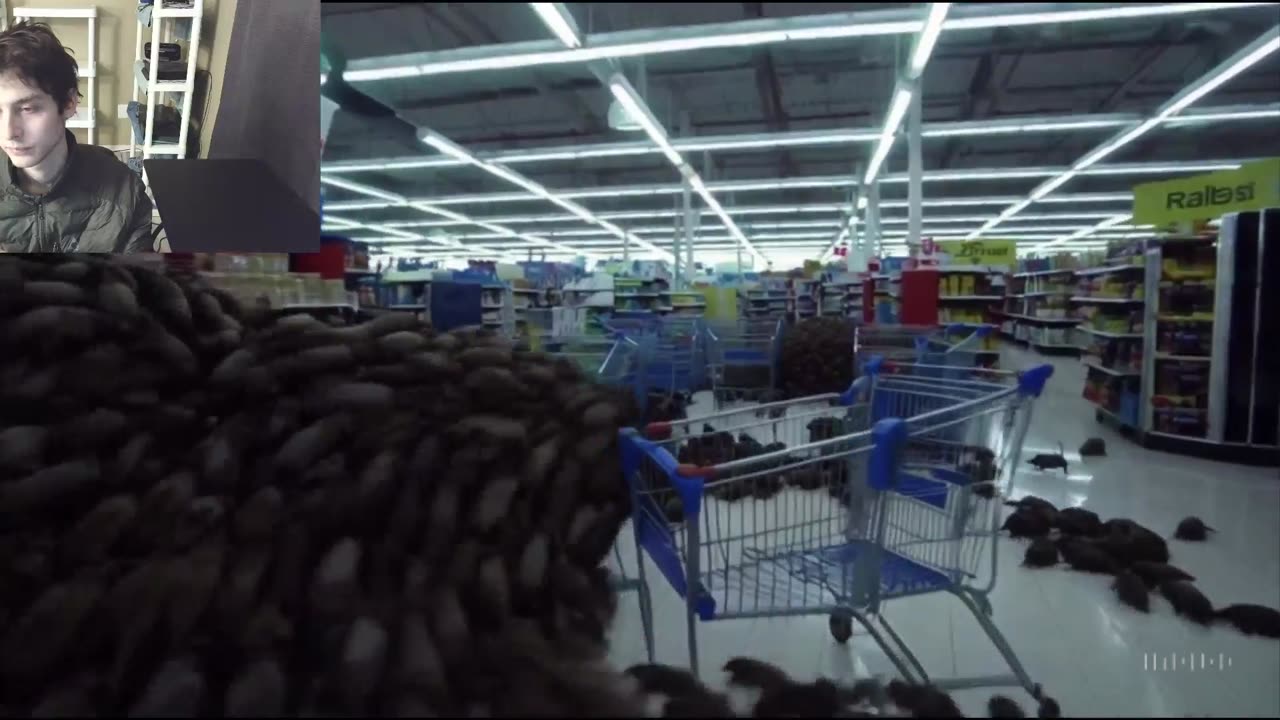 Over 1,000 Fictitious Rats Swarm A Walmart Supercenter Fake Strange Video With Live Commentary