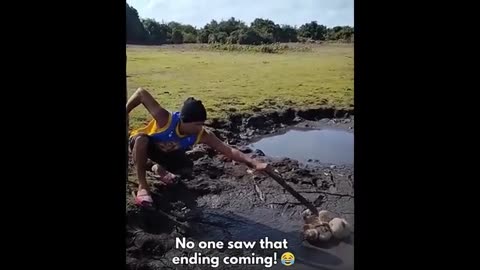 Epic Animal Fails & Funny Moments: The Ultimate Pet Comedy Reel!