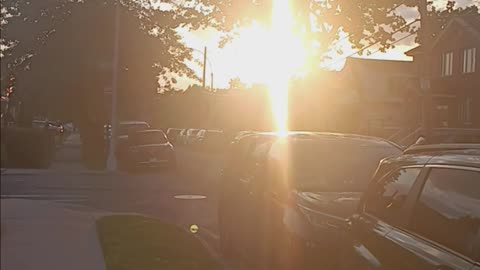 Sunset queens
