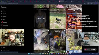 HIPPO CRIME/ MP7/ FLOODS: communityfoundation . net