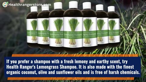 Avoid toxic chemicals and support healthy hair with all-natural Shampoos and Shampoo Bars