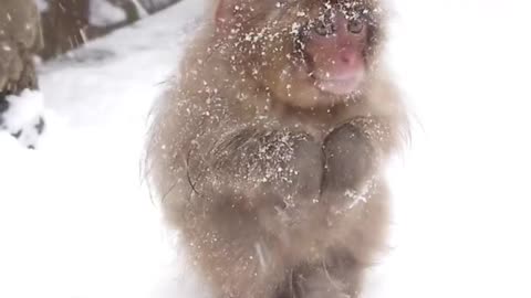 Child money in coldest palce