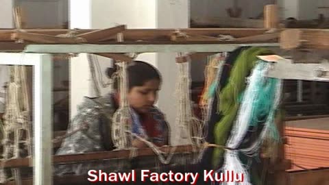 Visiting a Shawl Factory in Kullu | The Art of Traditional Pashmina Weaving