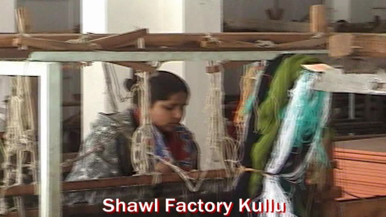 Visiting a Shawl Factory in Kullu | The Art of Traditional Pashmina Weaving