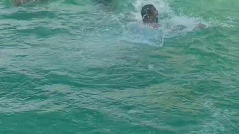 pool party garmi killer #love #water #party #fun
