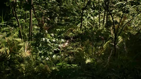 ‘Beast Of Reincarnation’ – Reveal Trailer