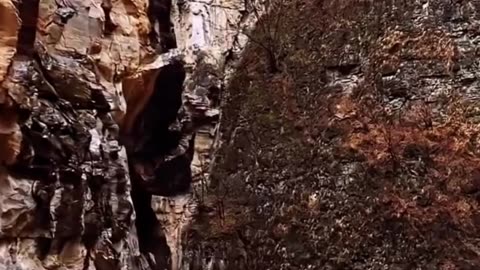 Beautiful nature