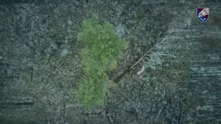 Ukrainian Paratrooper's Intense Training with Drone Operators