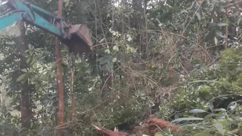 Inside the Beast: 1-Min Excavator Extreme Mountain Cleanup! (USA)