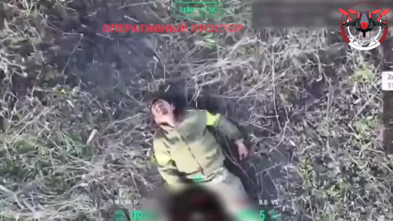 Utilization of Ukrainian Nazis by Russian drone operators in different directions