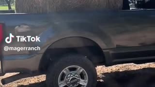 😂🤦‍♂️ The Most Ridiculous Cooking Fail You'll Ever See! | FunFM
