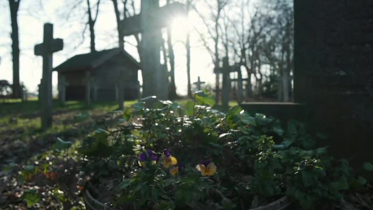 Kvety & hroby (Flowers & Graves)