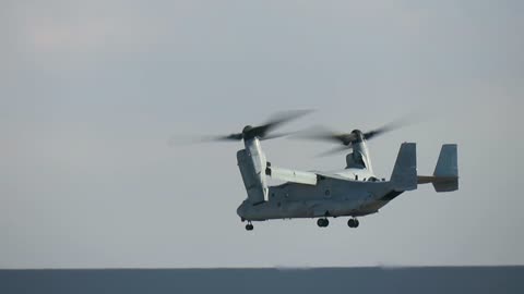 Marine Osprey's