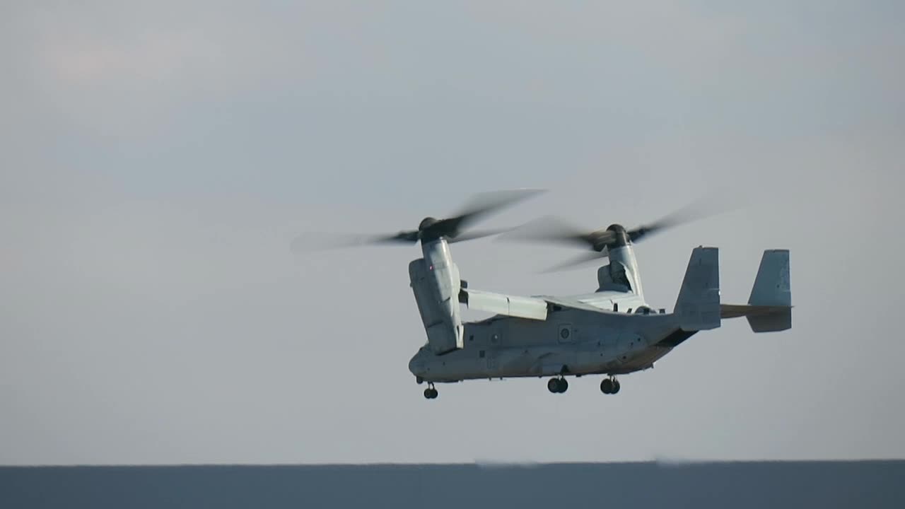 Marine Osprey's