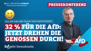 WARUM SIE DIE AfD VERBIETEN WOLLEN - AUF DEN PUNKT