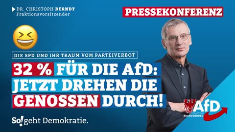 WARUM SIE DIE AfD VERBIETEN WOLLEN - AUF DEN PUNKT