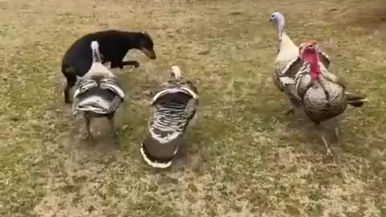 Strength in numbers 🤣💪