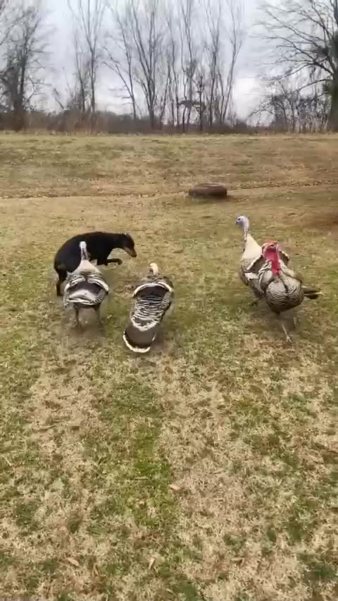 Strength in numbers 🤣💪