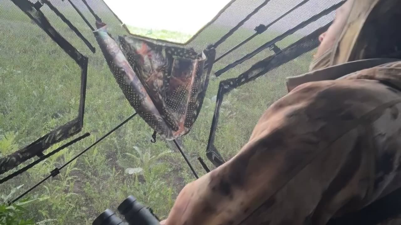 The Art of Hunting