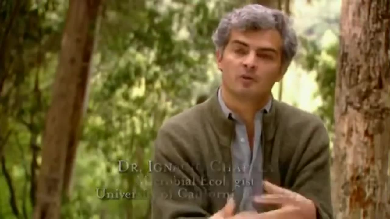 Documentary (2004) - The Future of Food