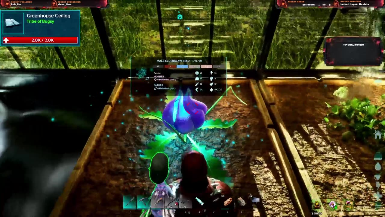 Valguero: Elder Claw Capture