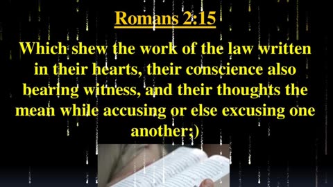 CAN YOU TRUST YOUR CONSCIENCE? - DAILY DEVOTIONAL ❤️