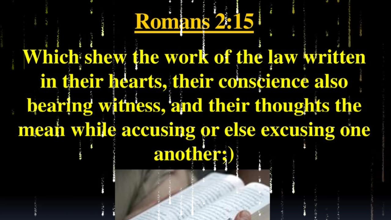 CAN YOU TRUST YOUR CONSCIENCE? - DAILY DEVOTIONAL ❤️