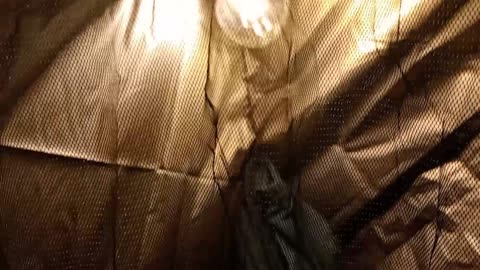 #hammock , #tip , hide your zip,, #hammock, #England ,