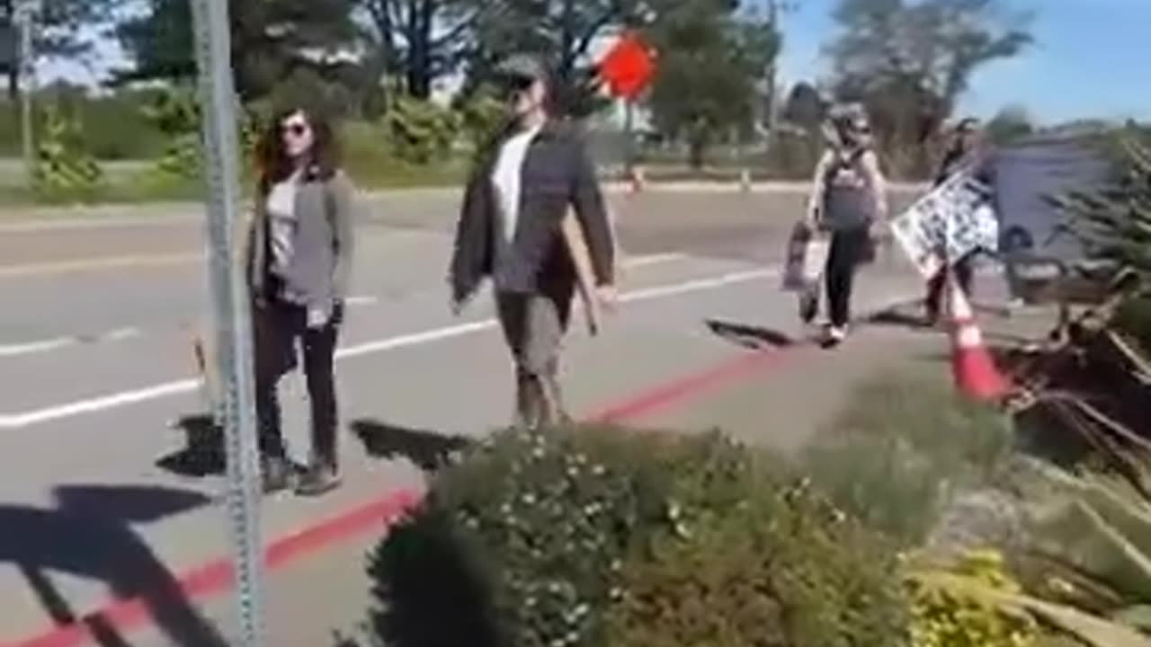 April Fools Fools - Tesla Protestors