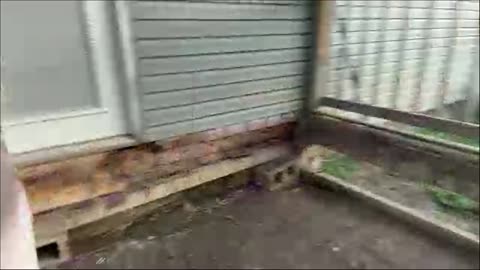 Working on my porch. Mobile Rumble Studio is Garbage.