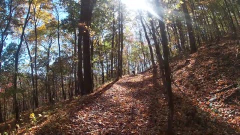 Backpacking the Terrapin Mountain loop.