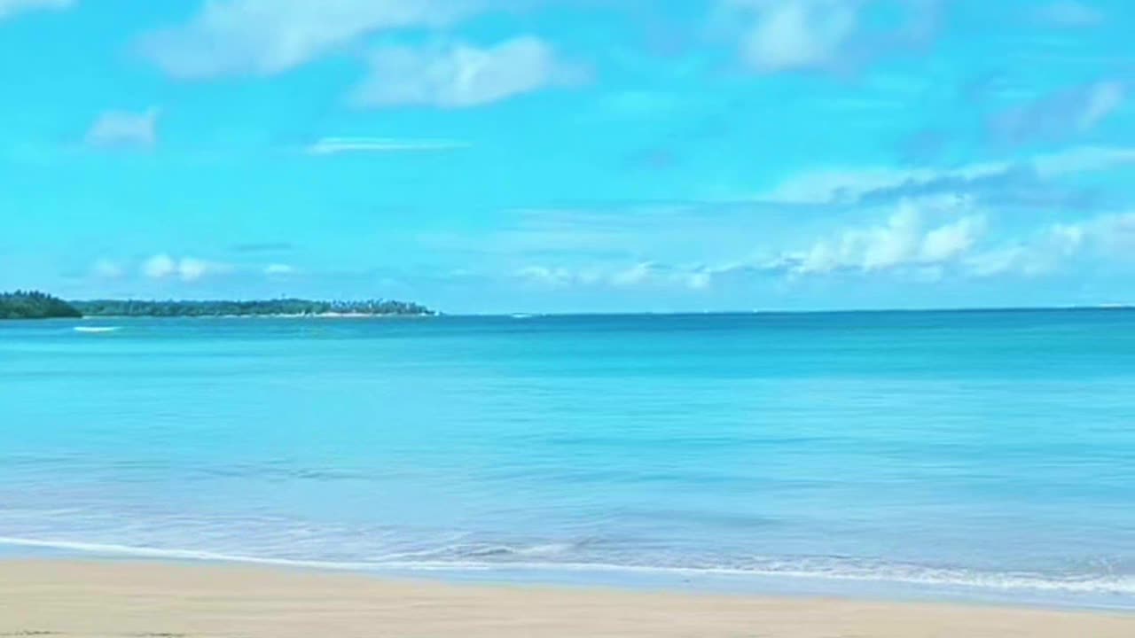 Let's enjoy paradise