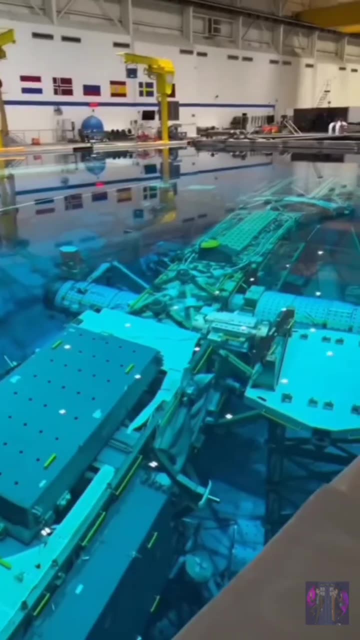 What if Adele sang about the lies they taught us in school?