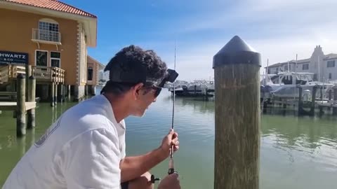 a pesca ho utilizzato diversi inneschi di granchio e cozza, solo uno ha centrato l'obiettivo_part1