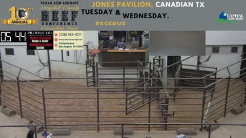 4/24/2025 - Cattle Auction - Producers Livestock Auction Company