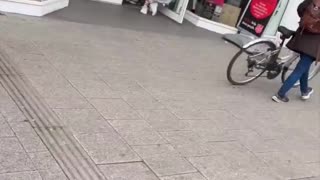 Hampshire Constabulary allow Muslim Defence League thugs to harass and try