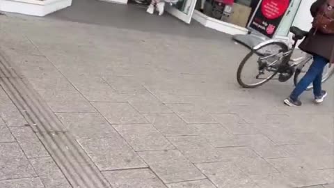 Hampshire Constabulary allow Muslim Defence League thugs to harass and try