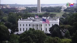 TWO CATS U.S. POLITICAL NEWS