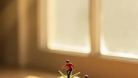 Welcome to Tiny World