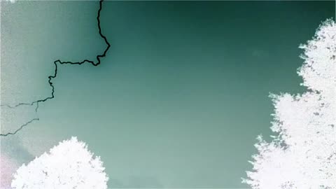 Negative light