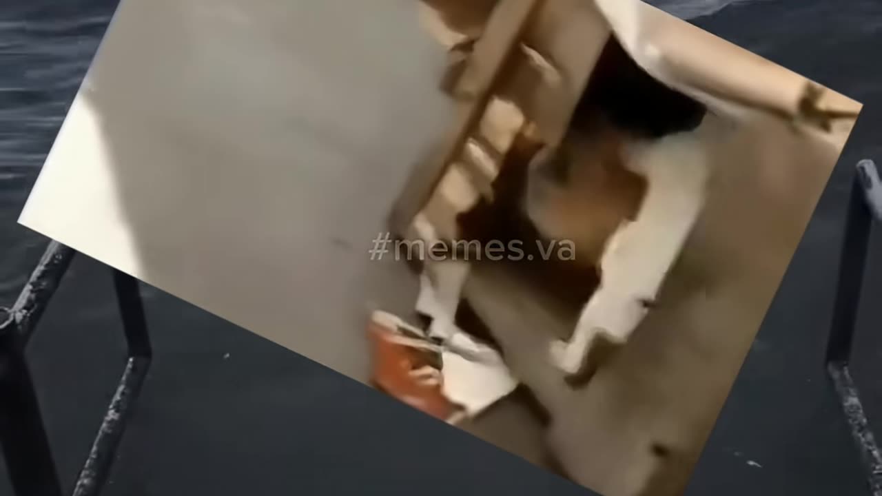 Funny Moments