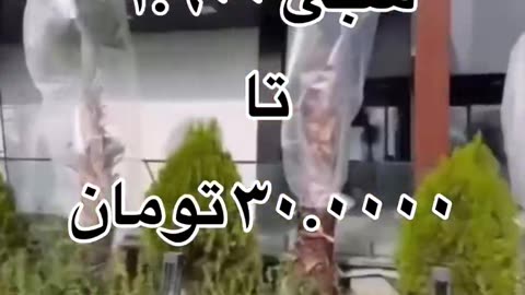 #funnyvideosdaily