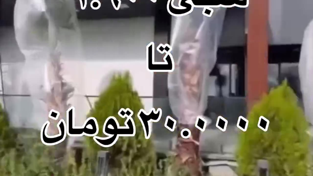 #funnyvideosdaily