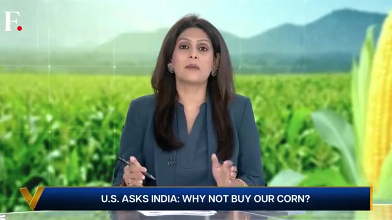 US Trade War: Why India Doesn't Need American Corn