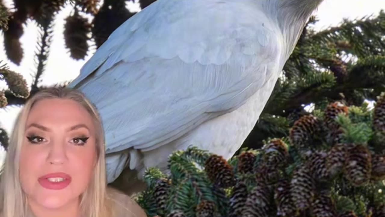 The animals are showing the Great Awakening is here