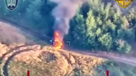 Wild Drone Strikes fron the Previous Day